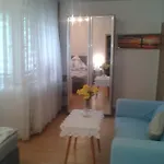 Blinkfuer Apartament *